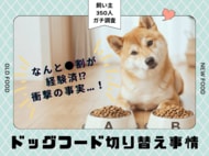 【350人調査】ドッグフード切り替え、実施率は衝撃の●割！愛犬の「マンネリ」を打破する飼い主が急増中