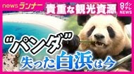 絶対的アイドル・パンダ不在でも客足好調　和歌山・白浜町　アドベンチャーワールドが目指す「地球で1番癒されるパーク」　町長が明かす“シン白浜町”構想　温泉への原点回帰　草津温泉をモデルにした「湯畑」も