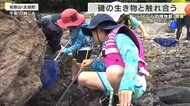 子どもたちがカニやナマコと触れ合い　磯の生き物を観察するイベント　