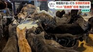 エサ代は月6万5000円　多頭飼育崩壊の背景に物価高　去勢費用1万7000円で3年前の2倍に　【スポットライト】