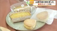 新作スイーツが勢ぞろい『やまが和栗スイーツフェア見本市』６月３０日まで開催【熊本】