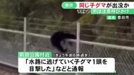20日と同一個体か…愛知県豊田市でまたツキノワグマの子どもの目撃情報 体長60cm程でフェンスよじ登る