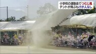 松山市の小学校の運動会で