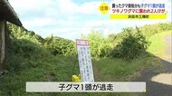 茂みから突然クマが現れる…猟師と島根県職員2人が襲われけが(島根県・浜田市)