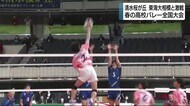 春高バレー 静岡男子代表・清水桜が丘は激戦の末敗退