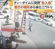 「空から降ってきた？」ニワトリが“ティータイム乱入”で騒然…「うちのニワトリが飛んでった」飼い主の声に爆笑　トルコ