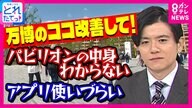 『万博のここ改善して』パビリオンの中身が分からない・アプリ使いづらい…万博会場で100人に聞いた生の声