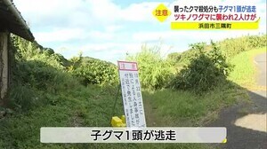 茂みから突然クマが現れる…猟師と島根県職員2人が襲われけが(島根県・浜田市)