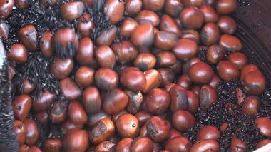 1つに特化し超人気店に…「天津甘栗」だけを年間120トン販売 父のこだわりと息子のアイデア【愛知発】