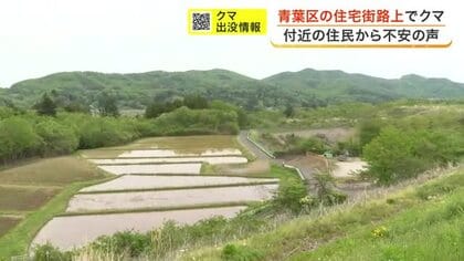 「道路からやぶに入っていくクマを見た」青葉区でクマ出没　警察が付近を警戒〈仙台市〉