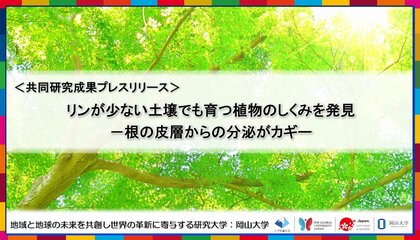 リンが少ない土壌でも育つ植物のしくみを発見-根の皮層からの分泌がカギ-〔広島大学, 岡山大学, 北海道大学, 山形大学〕