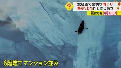 垂直にそびえ立つ“巨大な氷”　高さ20mから「カヤック」で滝下り　北極圏の海で…ノルウェー