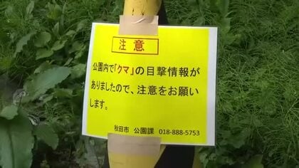 2025年も出没相次いだ千秋公園でクマ目撃　公園の立ち入り規制は行わず　観光客は不安の表情　秋田市