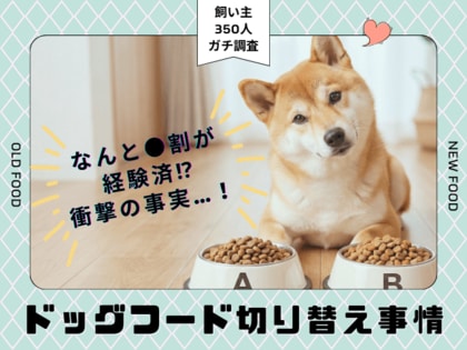 【350人調査】ドッグフード切り替え、実施率は衝撃の●割！愛犬の「マンネリ」を打破する飼い主が急増中