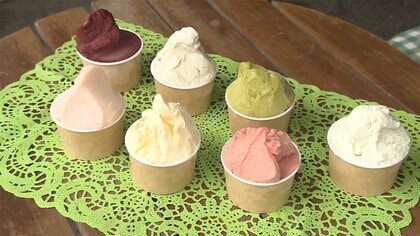 珍しい味のジェラート店「ゴボウ＆落花生」に「レモン胡瓜ハラペーニョ」…新鮮野菜のうまみ凝縮【宮崎発】