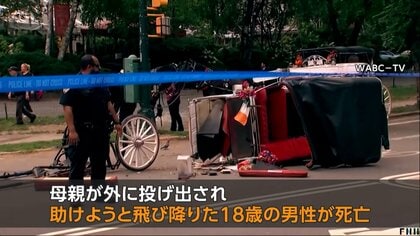 ニューヨークで観光馬車が運転手不在で暴走…旅行客のインド人家族乗せ18歳男性死亡　160年以上の歴史　アメリカ