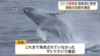 クジラ調査船が塩釜港に帰港　未知のザトウクジラ発見　シロナガスクジラ頭数回復の可能性確認〈宮城〉