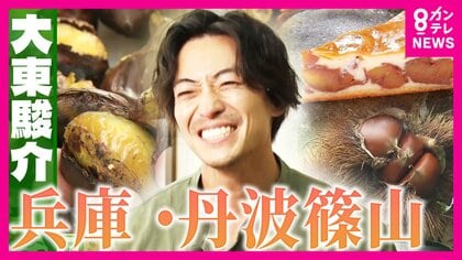 「和栗の王様」丹波栗と“ぼたん鍋発祥”1609年創業の料理旅館で大東さん感動「辛いとき食べたら泣いてまう」　“食の宝庫”兵庫・丹波篠山市を堪能【大東駿介の発見！てくてく学】