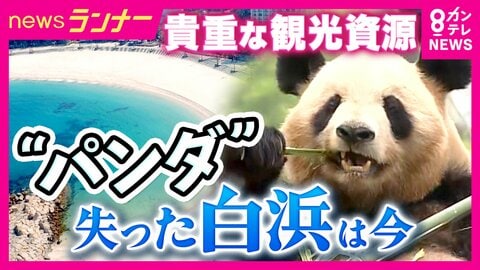絶対的アイドル・パンダ不在でも客足好調　和歌山・白浜町　アドベンチャーワールドが目指す「地球で1番癒されるパーク」　町長が明かす“シン白浜町”構想　温泉への原点回帰　草津温泉をモデルにした「湯畑」も