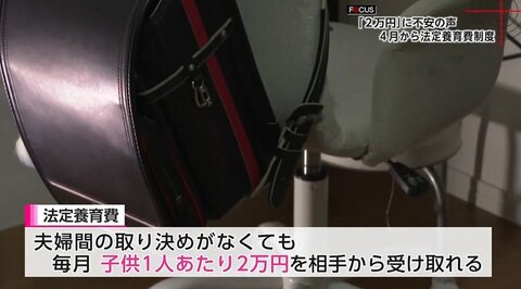 離婚後の養育費「月2万円」取り決めなしでも請求可能に　「法定養育費制度」は未払い解消の救世主となるか