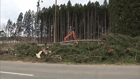 青森で倒木相次ぐ　きょうも北日本では暴風に警戒が必要