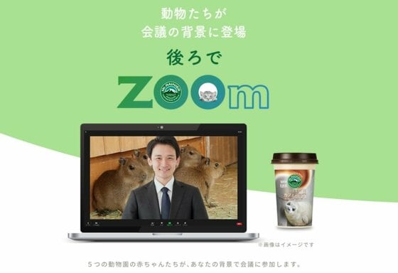 オンライン会議にかわいい動物たちが参加 Zoomならぬ Zoom で癒やし提供 イチオシ動物を聞いた