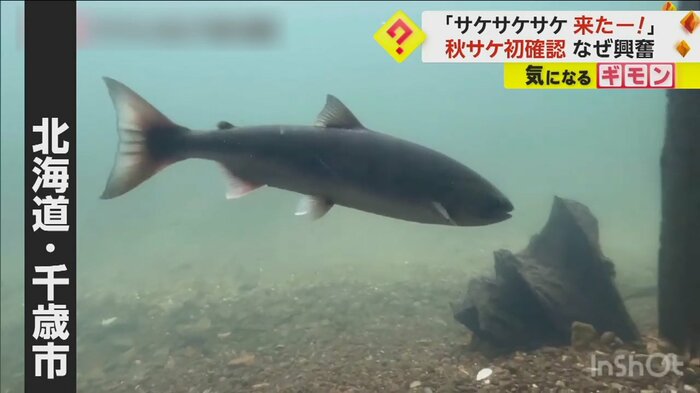 (サケのふるさと千歳水族館)