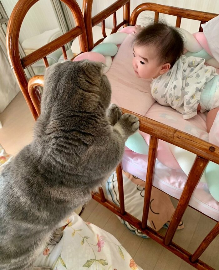 娘さんが生まれて間もない頃は、たこやきくんは兄のように見守っていた