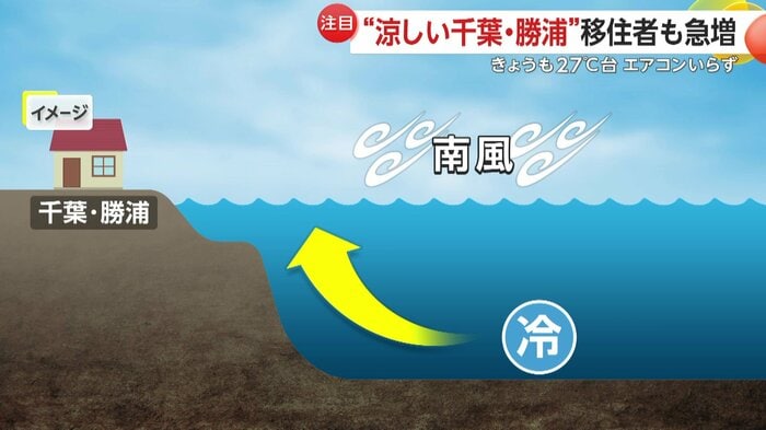 海底付近の冷たい水が海面に上昇して水温が低下する