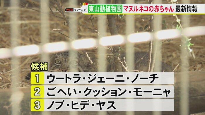 ニュースONE