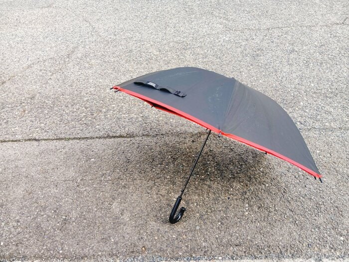 雨の日の路上では思わぬ発見も