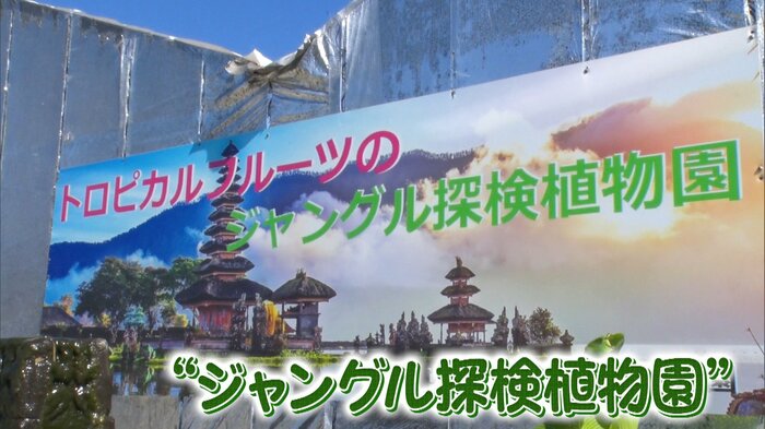 愛知・田原市「トロピカルフルーツのジャングル探検植物園」
