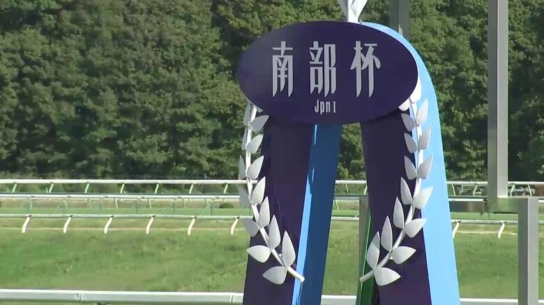 地方と中央の交流レース「南部杯」開催　盛岡競馬場にぎわう　岩手県　｜FNNプライムオンライン