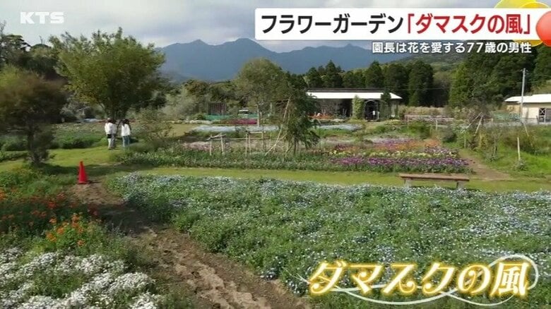 「絶対に薬はかけない」　無農薬の園芸貫く園長が育てる花々で人々を癒やし続けるフラワーガーデン「ダマスクの風」が人気　　鹿児島・鹿屋市｜FNNプライムオンライン