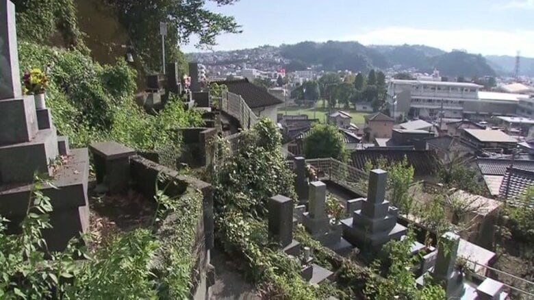 勤務中に墓地の草刈り 鹿児島市議会が当時の幹部を参考人招致へ 元市議の要望は「不当要求」|FNNプライムオンライン