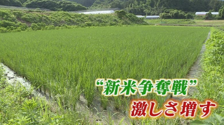 備蓄米放出   今秋の新米価格は？ 争奪戦の様相も   生産者「今年はいま注文を受けている分でストップする予定」 【福岡発】｜FNNプライムオンライン