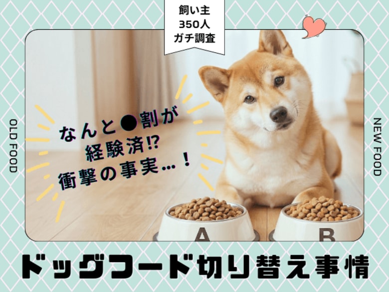 【350人調査】ドッグフード切り替え、実施率は衝撃の●割！愛犬の「マンネリ」を打破する飼い主が急増中