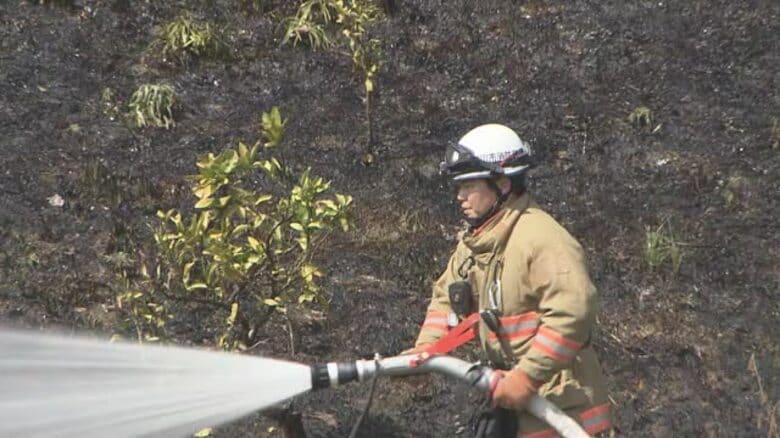 「枯草が燃え広がった」松山の山間のミカン畑で火事　現場で所有の７０代男性が野焼き【愛媛】｜FNNプライムオンライン