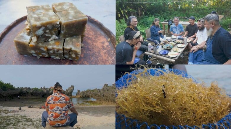 「なくしたくない味」 モーイ豆腐から考える沖縄の海と未来|FNNプライムオンライン