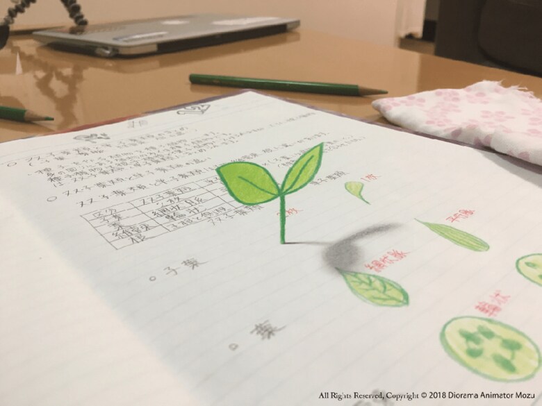 (双葉 作・Mozu)