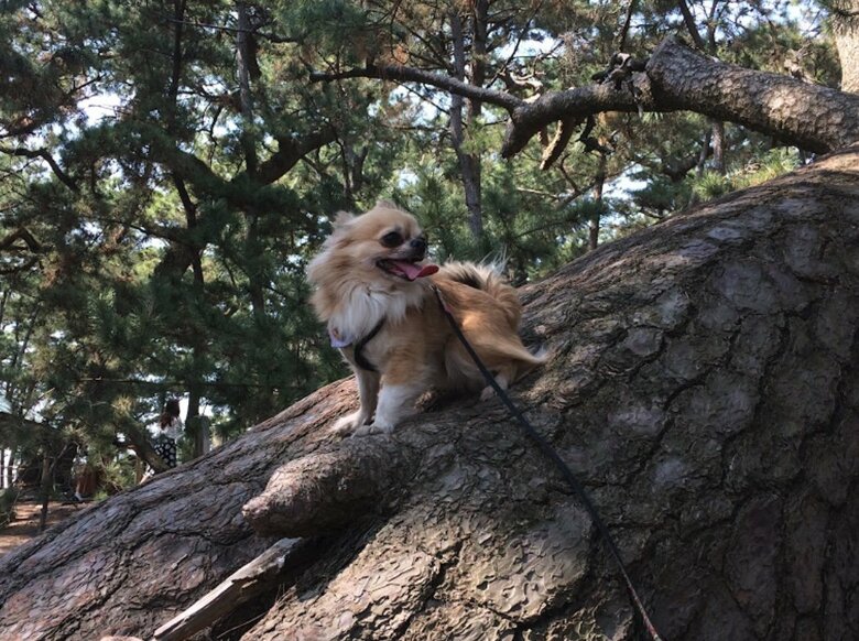 提供：榊 柾人さん