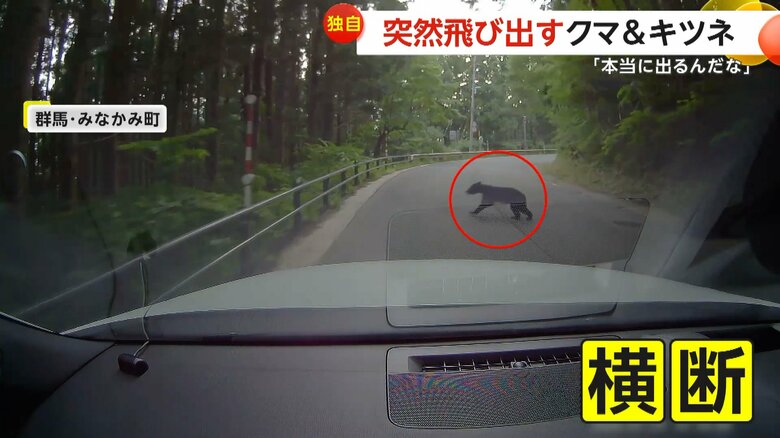 車の走行中に突然クマが飛び出し道路を横切る一部始終②