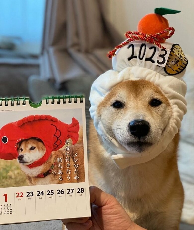 だけど、おやつのためなら！