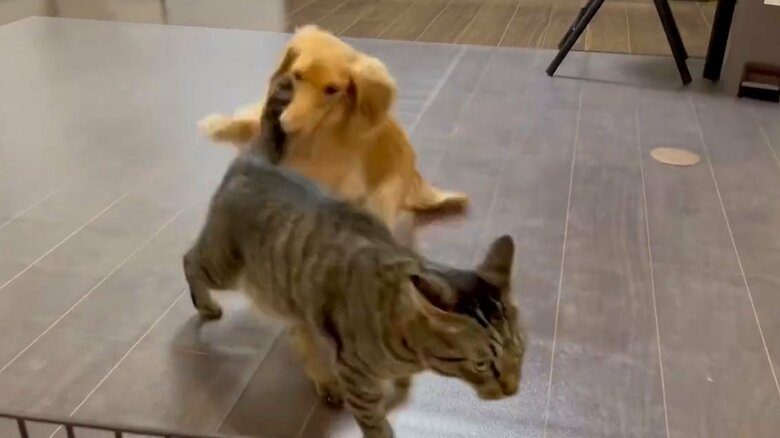 ボンくんは後ろからタックルしたり…