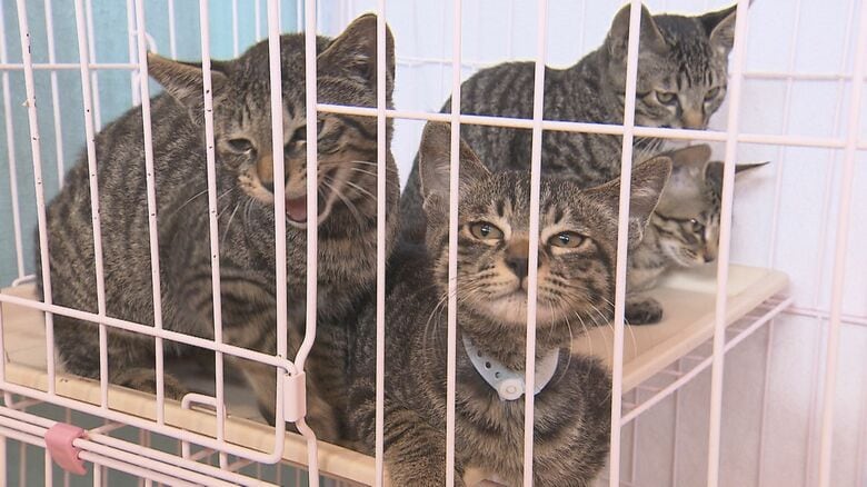 きっかけは「NBSみんなの信州」