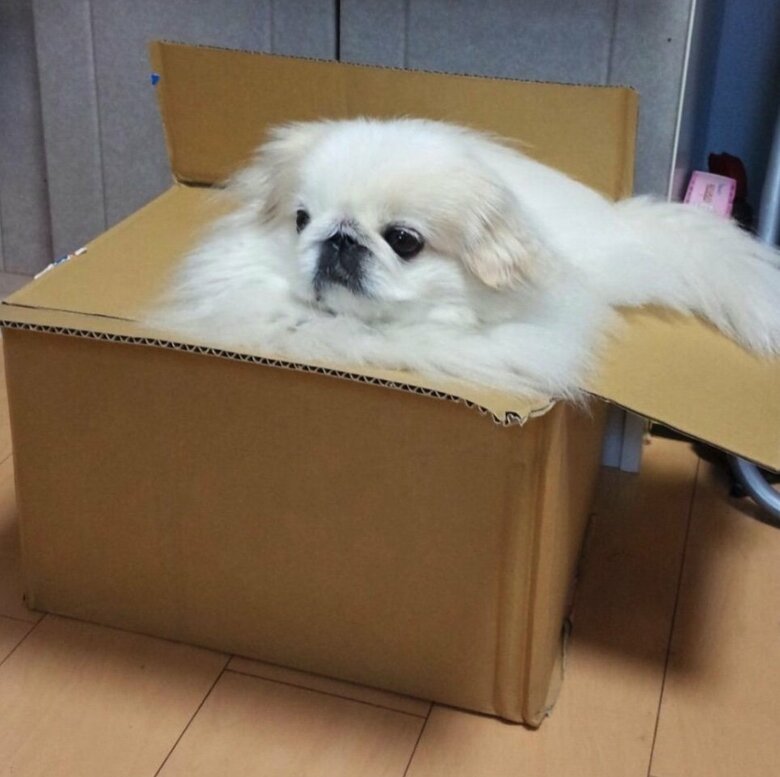 提供：うにたんさん