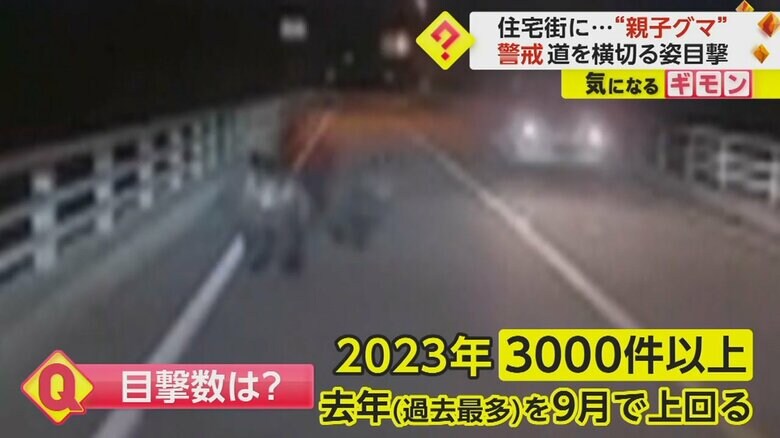 北海道警によると、クマ目撃情報は、過去最多だった2022年を9月の時点で上回っている