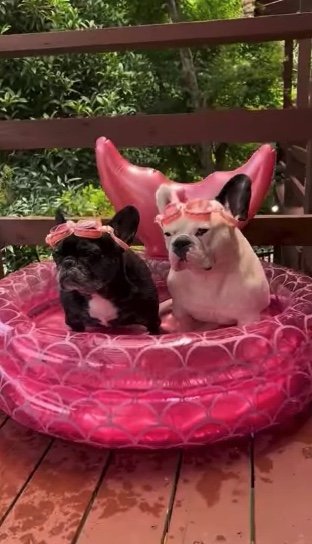 提供：天使の笑顔さん