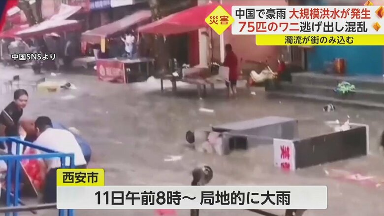 一部の地域では1時間の雨量が61.8ミリに