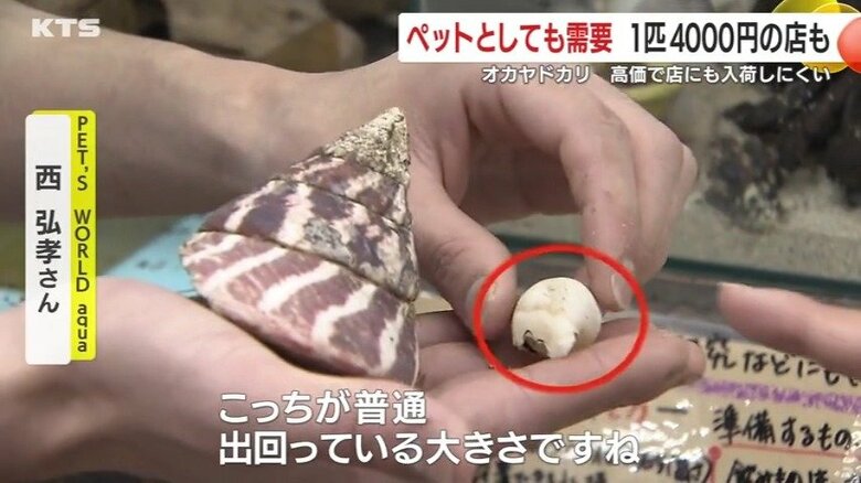 西さんは「あのサイズはびっくりした」と驚きを隠さない